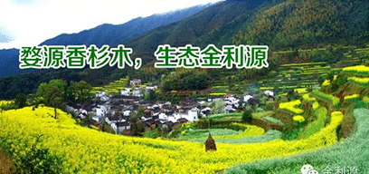 金利源板材/金品質(zhì) 源生態(tài).從源頭精挑細(xì)選，為品質(zhì)保駕護(hù)航——中國(guó)板材十大品牌品質(zhì)篇